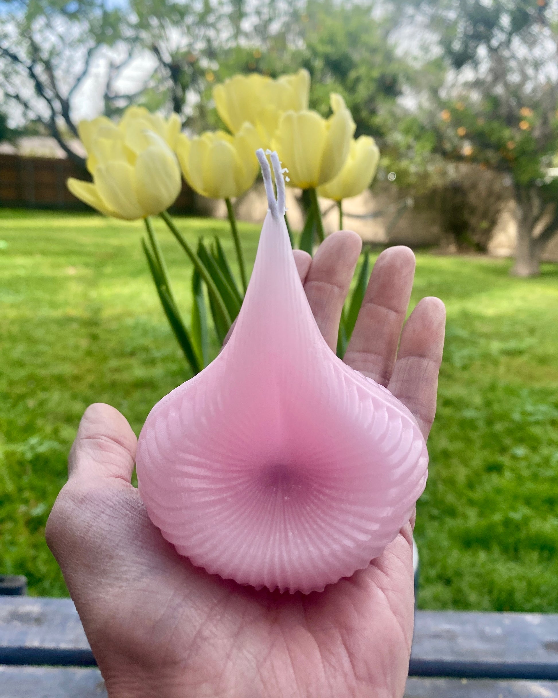 A hand holding up a pink Destiny Decision Candle outdoors with yellow tulips in the background.  Showing the true size of the Destiny Decision Candle.